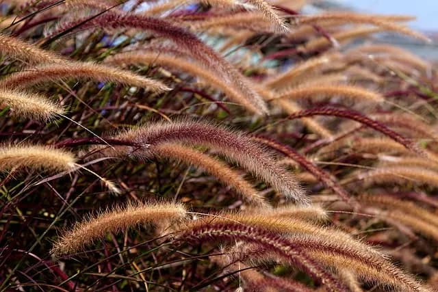 Comment choisir un éclairage écologique pour votre maison