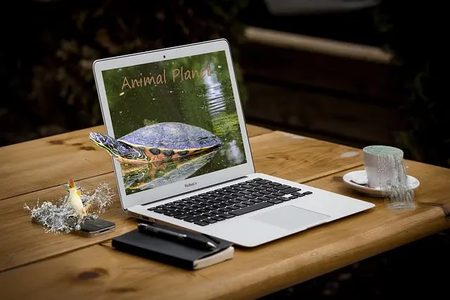 Comment choisir l'éclairage parfait pour votre bureau