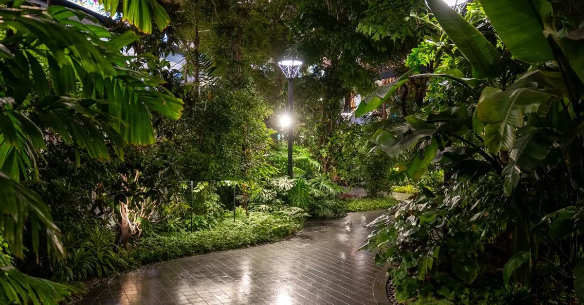 Comment choisir un éclairage pour votre jardin