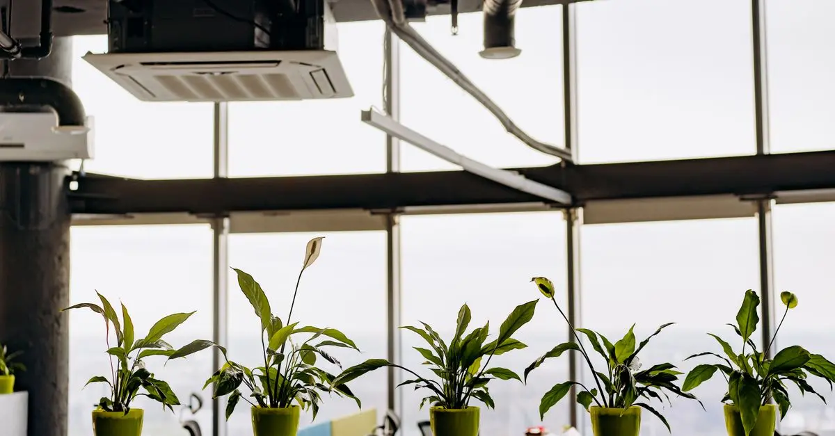 Les astuces pour optimiser l'éclairage de votre bureau